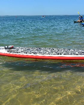 Stand Up Paddle