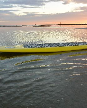 Stand Up Paddle
