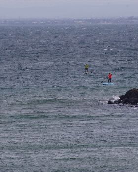 Stand Up Paddle