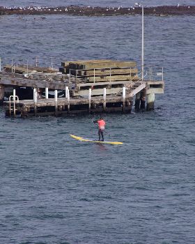 Stand Up Paddle