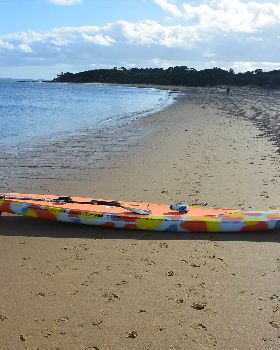 Stand Up Paddle