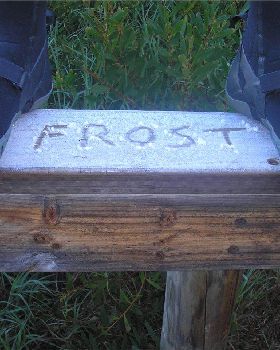 FROST BOOTIES