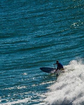 Scotts comp-209