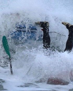 Stand Up Paddle