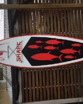 shark3