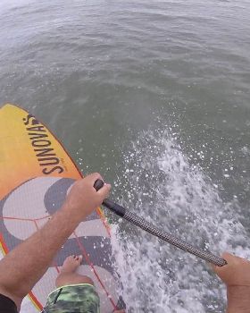 Stand Up Paddle