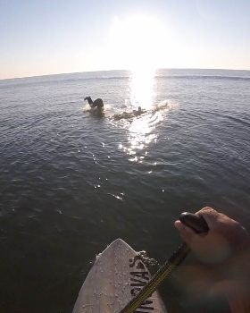 Stand Up Paddle