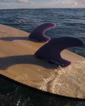 Fins