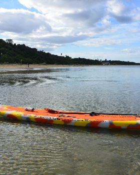 Stand Up Paddle