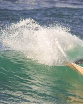 Insane 8'2"