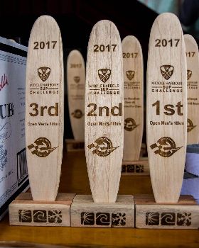 Stand Up Paddle