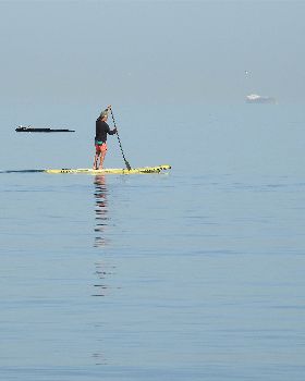 Stand Up Paddle