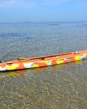 Stand Up Paddle