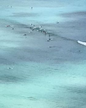 Stand Up Paddle