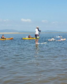 Stand Up Paddle