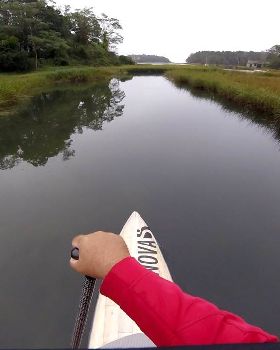 Stand Up Paddle