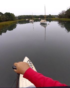Stand Up Paddle