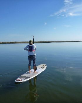 Stand Up Paddle
