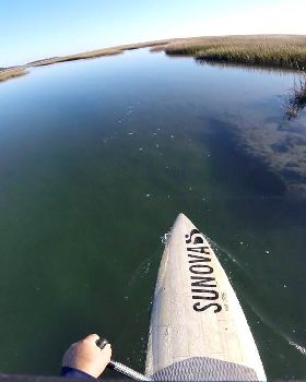 Stand Up Paddle