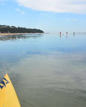 Stand Up Paddle