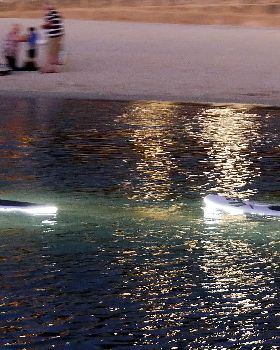SUPs with lights