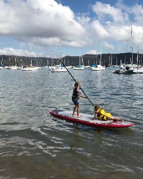 Stolen Boards