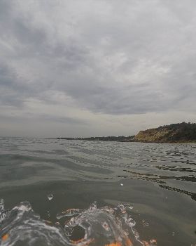 G0021588
