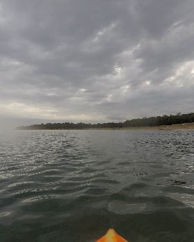G0063665