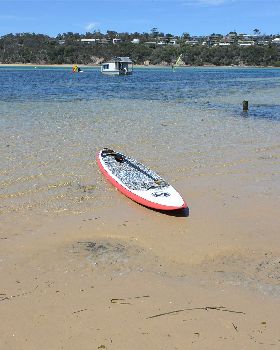 Stand Up Paddle