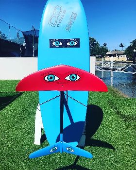 Stand Up Paddle