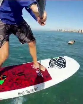 Stand Up Paddle