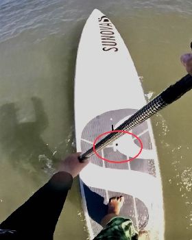 Stand Up Paddle