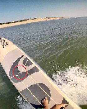 Stand Up Paddle
