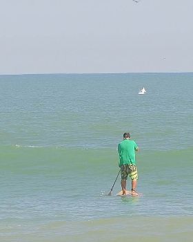 Stand Up Paddle