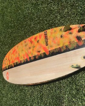 Stand Up Paddle