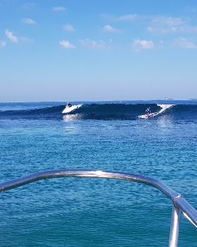Stand Up Paddle