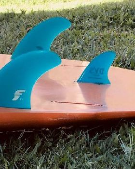 fins 1