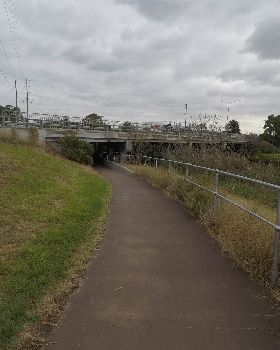 GOPR5230