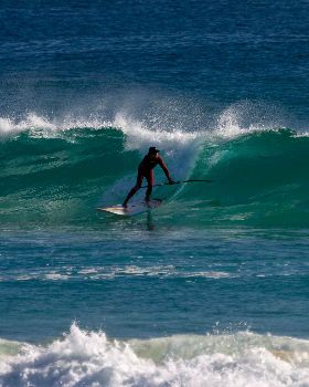 Paddle yesterday morning