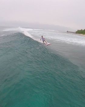 fullsizeoutput 50b