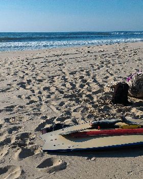 Sup surfing and fishing
