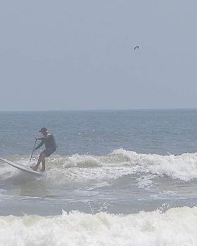 Stand Up Paddle
