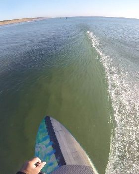 Stand Up Paddle