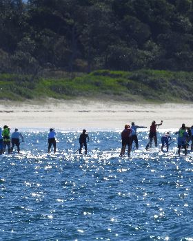 Stand Up Paddle
