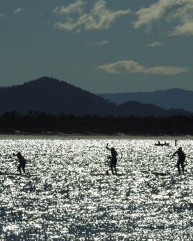 Stand Up Paddle