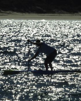 Stand Up Paddle
