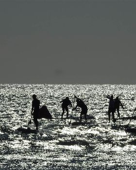 Stand Up Paddle