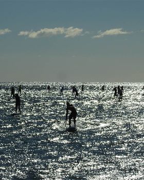 Stand Up Paddle