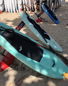 Stand Up Paddle