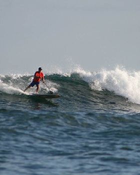 10'  Style an 8'10 STEEZE